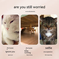 Pet Selfie Clip – Phone Camera Attachment for Dogs & Cats