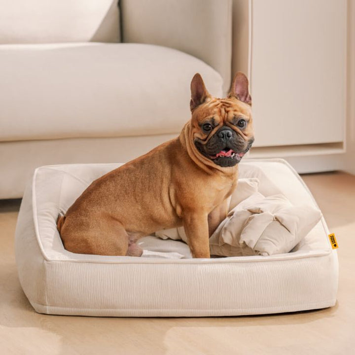 Pet Products