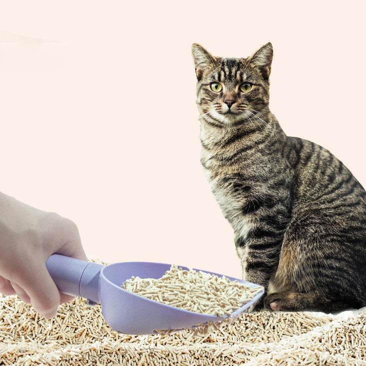 Durable Cat Litter Scoop with Base – Easy Clean Pet Toilet Tool