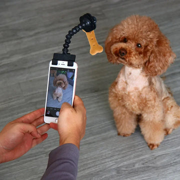 Pet Selfie Clip – Phone Camera Attachment for Dogs & Cats
