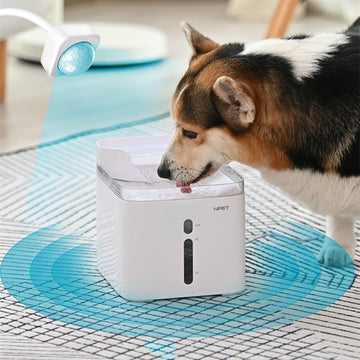 Portable Pet Water Bottle with Filter – Clean Drinking on the Go